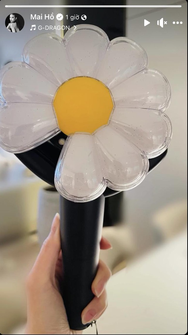 Dàn sao Việt đi cổ vũ G-Dragon: Hương Giang tình tứ với bạn trai, Diệu Nhi - Rhyder góp mặt cùng hội bạn nổi tiếng!- Ảnh 7.