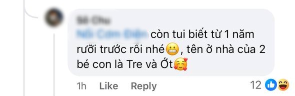 Tên ở nhà của 2 bé song sinh nhà Hoàng Thùy Linh - Đen Vâu- Ảnh 5.