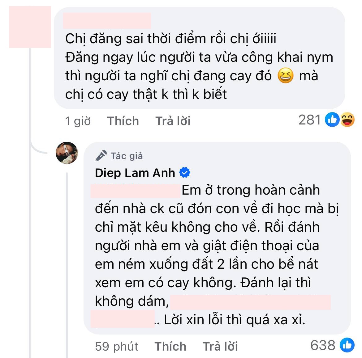 Diệp Lâm Anh đáp trả khi bị nói