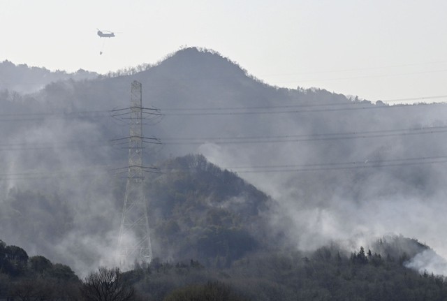 Nhật Bản cũng đang hứng chịu cháy rừng thảm khốc: Hàng ngàn người phải sơ tán, chưa có dấu hiệu kiểm soát được- Ảnh 5.