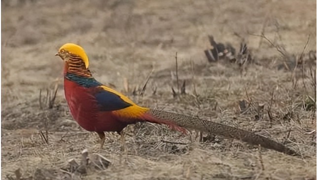 Phát hiện Phát hiện