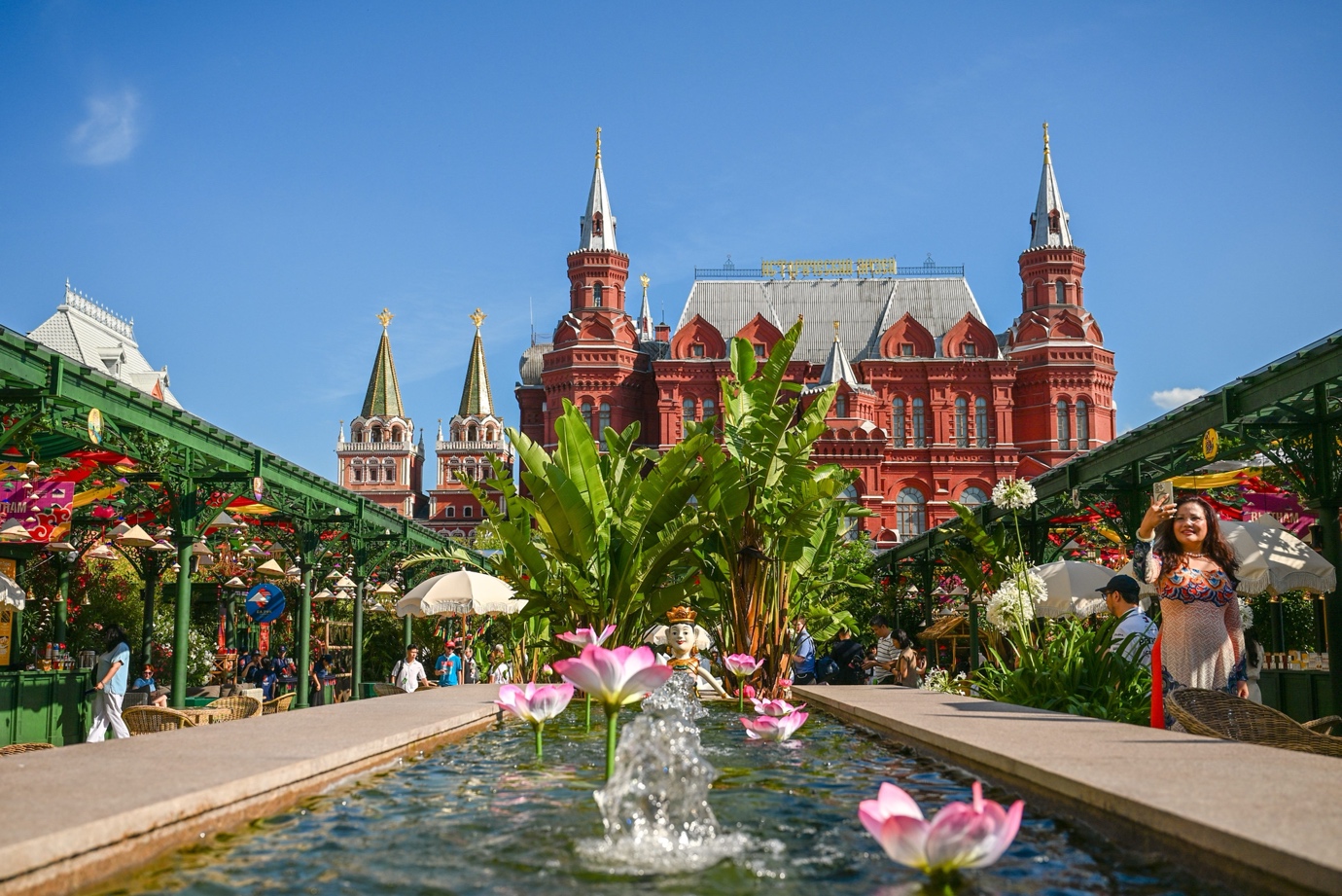 Không gian trưng bày hoa sen.