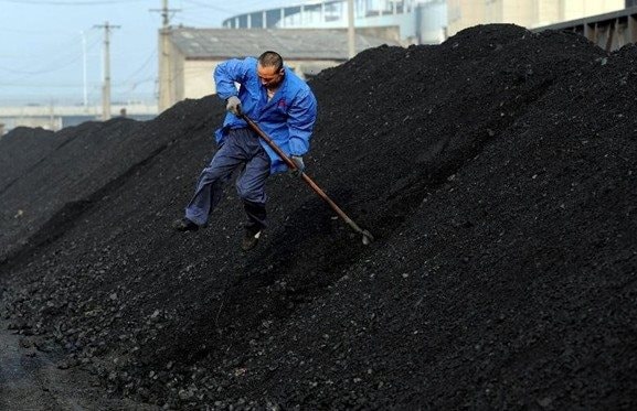 Cơn sốt Cơn sốt