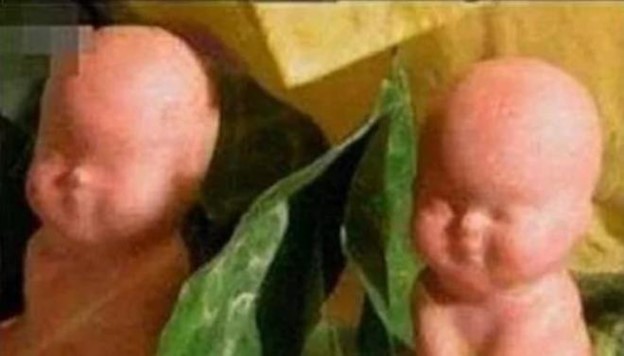 Bí mật đằng sau hành động nuốt chửng quả nhân sâm của Trư Bát Giới- Ảnh 3.