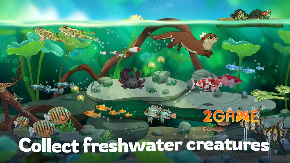 Pondlife mang đến cho bạn trải nghiệm thư giãn trên mobile pondlife upcoming 1