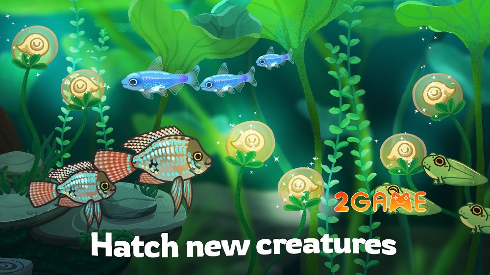 Pondlife mang đến cho bạn trải nghiệm thư giãn trên mobile pondlife upcoming 3