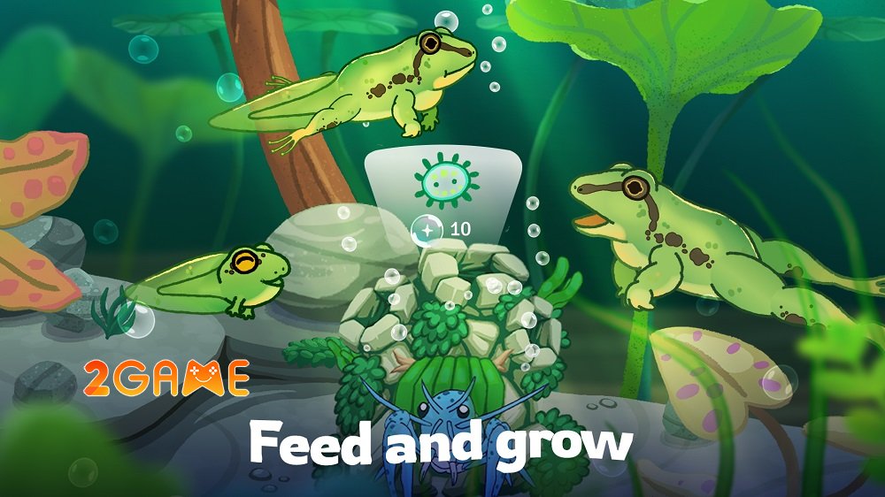 Pondlife mang đến cho bạn trải nghiệm thư giãn trên mobile pondlife upcoming 4