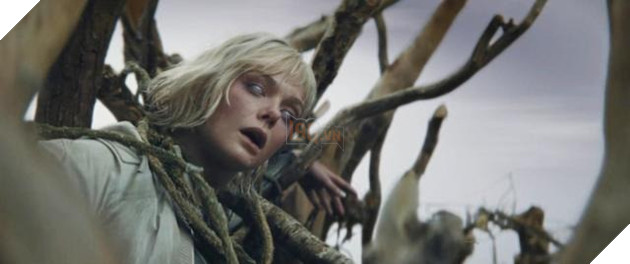 Du An Phim Predator Badlands Tung Trailer Tiet Lo Hinh Anh Va Cau Chuyen Moi 2 Dự Án Phim Predator Badlands Tung Trailer Tiết Lộ Hình Ảnh Và Câu Chuyện Mới 2