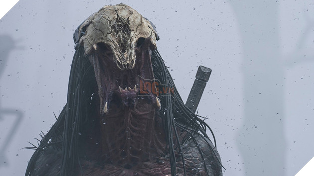 Du An Phim Predator Badlands Tung Trailer Tiet Lo Hinh Anh Va Cau Chuyen Moi Dự Án Phim Predator Badlands Tung Trailer Tiết Lộ Hình Ảnh Và Câu Chuyện Mới