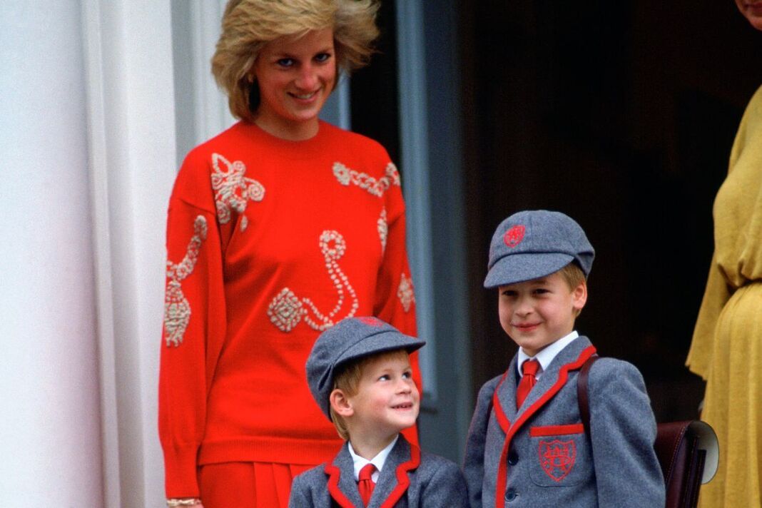 Ít người biết anh em Thân vương William và Harry từng đi ăn ở McDonald’s, lý do đằng sau thật sự cảm động!- Ảnh 1.