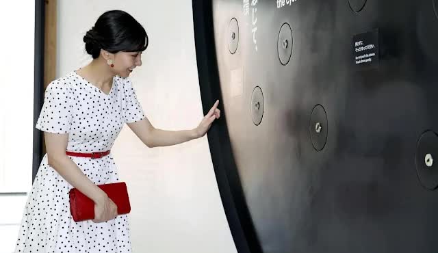 Công chúa xinh đẹp nhất Nhật Bản lại gây sốt vì vài bức hình- Ảnh 5.