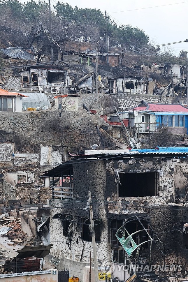 Cảnh sát bắt giữ người đàn ông bị nghi gây ra vụ cháy rừng tồi tệ nhất trong lịch sử Hàn Quốc- Ảnh 1.