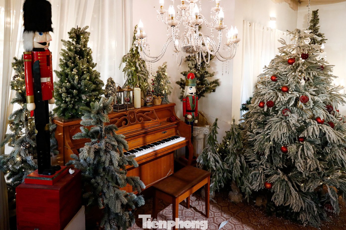 Các địa điểm này nổi bật với không gian được trang trí lộng lẫy, bao gồm cây thông rực rỡ ánh đèn, cùng các phụ kiện như gấu bông, cừu, lò sưởi... tạo nên khung cảnh lãng mạn như một
