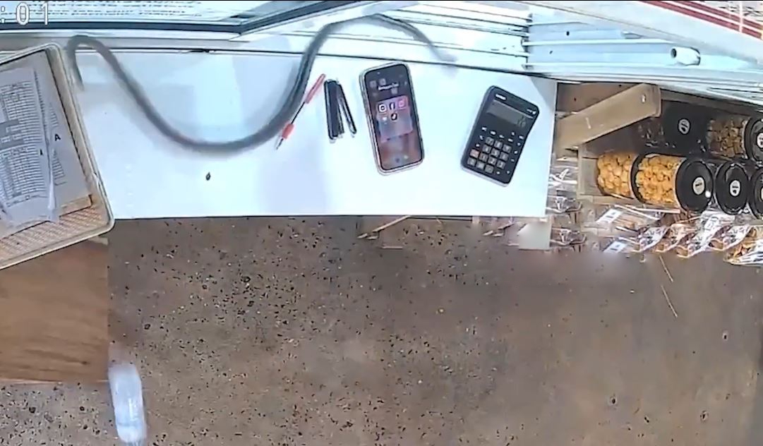 Thấy thứ đáng sợ lao về phía mình, cô gái la hét bỏ chạy- Ảnh 1.