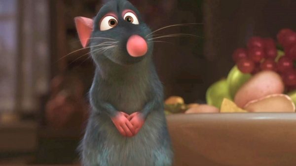 Pixar Chính Thức Phát Triển Phần Tiếp Theo Của Phim Hoạt Hình Kinh Điển Ratatouille ratatouille phan 21jpg ulxtjpg