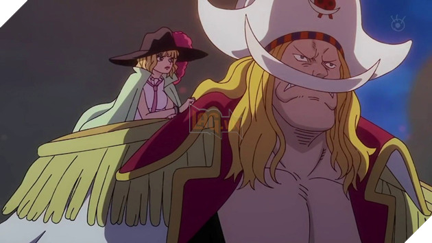 One Piece: 10 nhân vật có Haki mạnh hơn cả Luffy Khi “Vua Hải Tặc tương lai” vẫn còn khoảng cách