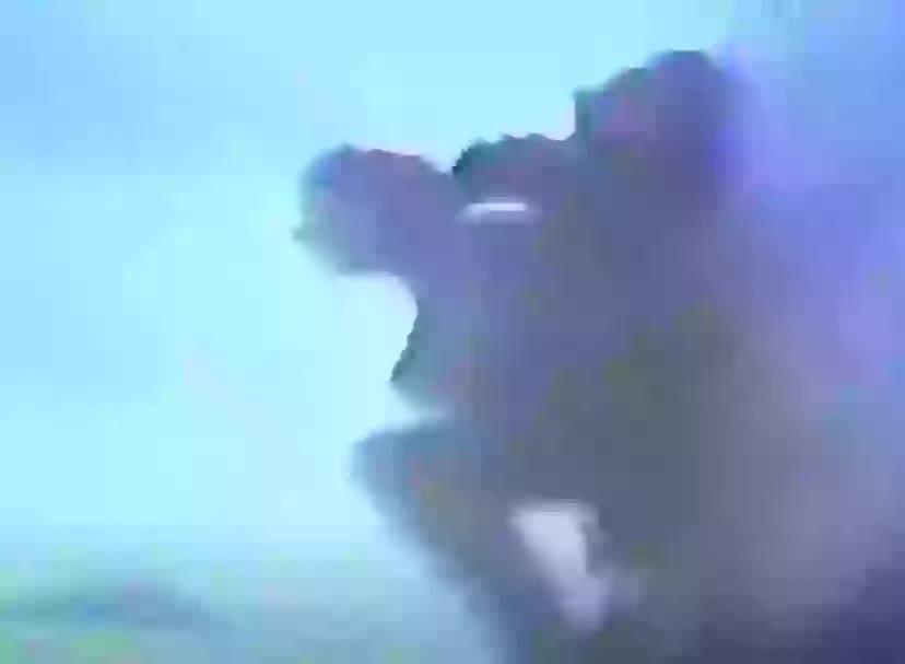 Những lời cuối ám ảnh của người đàn ông khi nhận ra mình quên đeo dù sau khi nhảy ra khỏi máy bay từ độ cao 3.200 mét- Ảnh 2.