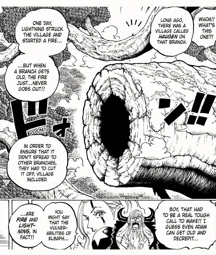 One Piece có thể vừa tiết lộ sức mạnh thực sự của Loki- Ảnh 3. One Piece có thể vừa tiết lộ sức mạnh thực sự của Loki- Ảnh 3.