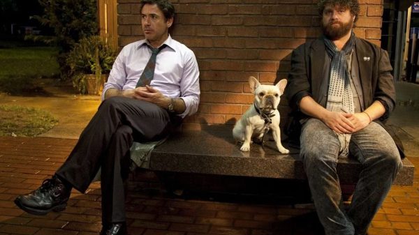 Phim Hài Due Date Từng Bị Chê Thậm Tệ Của Robert Downey Jr. Bất Ngờ Thành Công Trên Netflix robert due date rsiyjpg