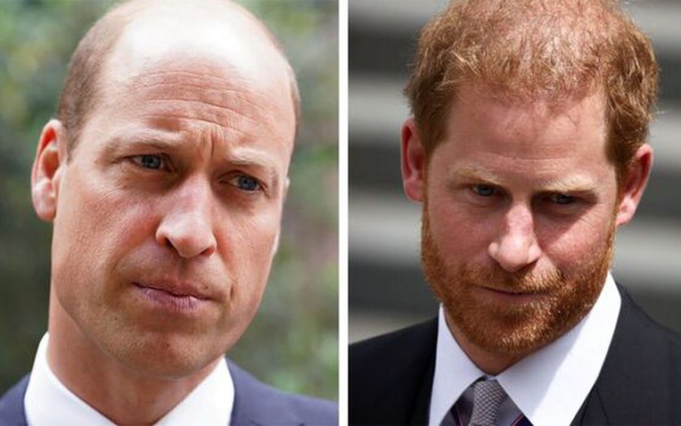 Lý do chính khiến Thân vương William ngày càng xa cách với em trai Harry và chú mình- Ảnh 1. Lý do chính khiến Thân vương William ngày càng xa cách với em trai Harry và chú mình- Ảnh 1.