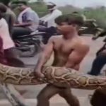 Rùng mình cảnh nhóm trẻ chơi đùa với con trăn dài 4,5m rung minh canh nhom tre choi dua voi con tran dai 4 5 m 17519435716821453442440 0 0 552 883 crop 17519435933571237433858 1752548667743960898918jpg