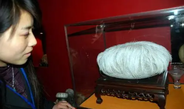 Lão nông phát hiện “tảng đá mọc tóc trắng”, chuyên gia lập tức phong tỏa cả ngôi làng: Loài vật quý hiếm bậc nhất hành tinh xuất hiện- Ảnh 3.