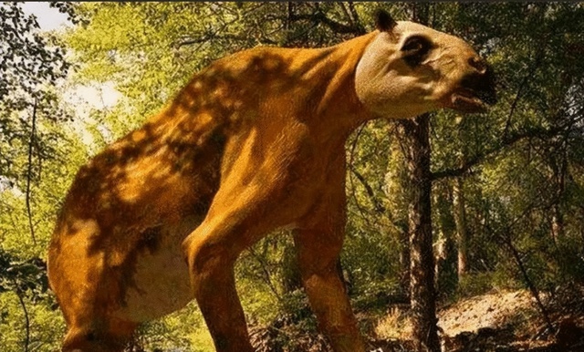 Lần theo dấu vết trong chuồng lợn, chuyên gia giật mình tự nhủ