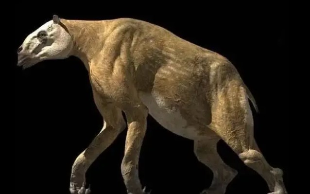 Lần theo dấu vết trong chuồng lợn, chuyên gia giật mình tự nhủ