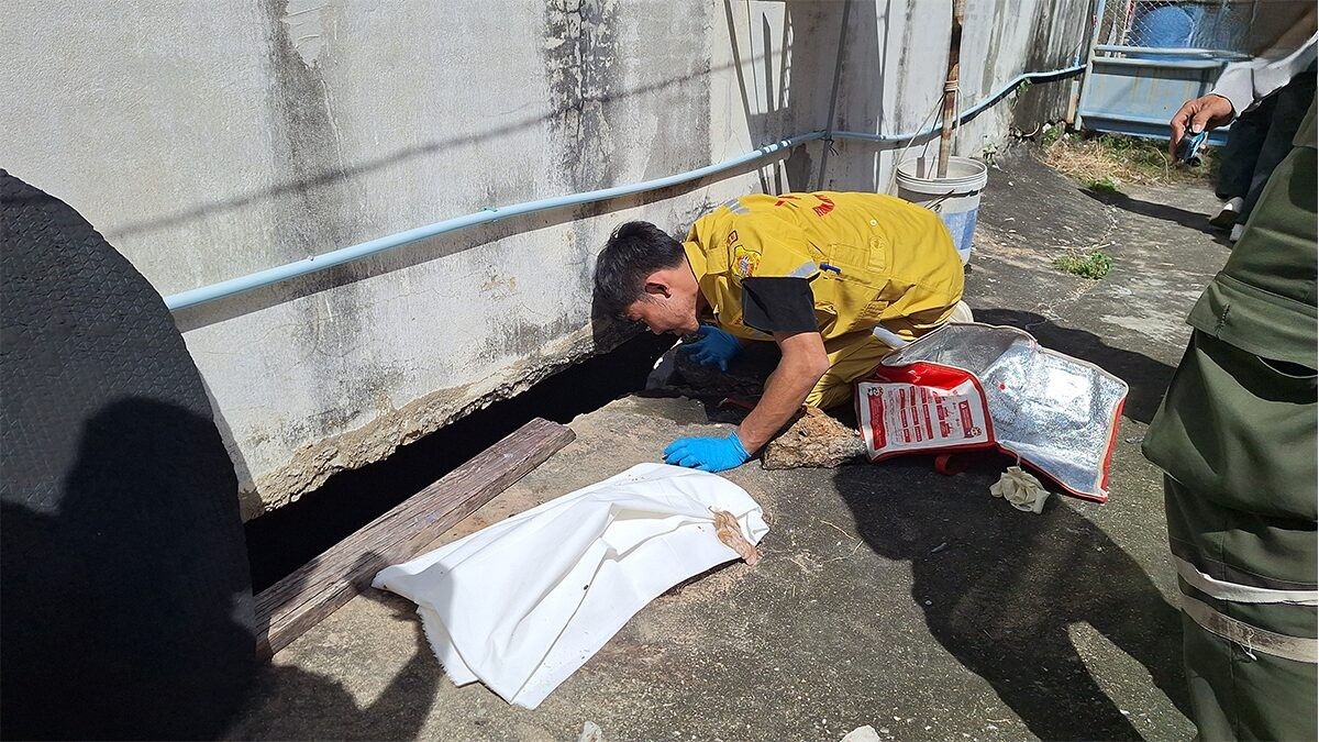 Kỳ đà kéo theo một chiếc túi, người dân thấy lạ nên đến kiểm tra thì tái mặt, vội báo cảnh sát- Ảnh 1.