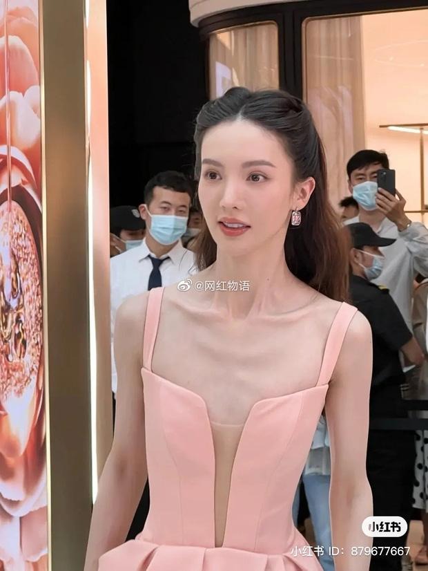 5 mỹ nhân showbiz này