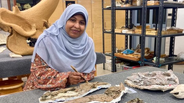 Quái vật 80 triệu tuổi "trỗi dậy" ở Ai Cập sara saber pictured with the holotype specimen of wadisuchus kassabi 1200x901 1762836010301170414791 1762854179504 17628541797651026289040