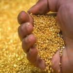 Sự thật thơ mộng về vàng scloudfrontnet2fproduction2f7f10236d e8eb 4f62 a233 6dd06714087e 17610383111901296464450 1761095196647 17610951969251686664977 0 0 394 630 crop 1761095223457233633899jpg