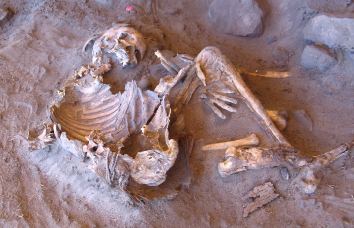 Xác ướp tiết lộ bí mật về quá khứ của sa mạc Sahara- Ảnh 2.