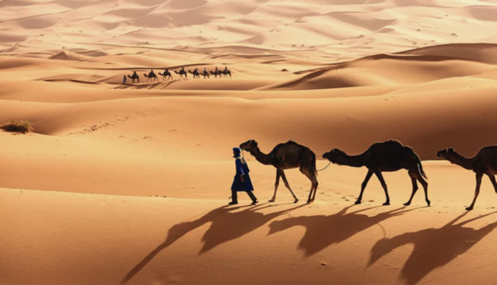 Xác ướp tiết lộ bí mật về quá khứ của sa mạc Sahara- Ảnh 1.