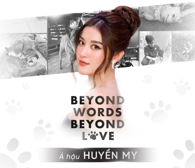 Cuộc sống hiện tại của Á hậu được báo Trung gọi là