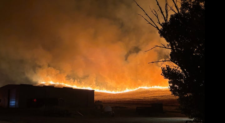 Mỹ: Cháy rừng bùng phát dữ dội ở California, cấp tốc sơ tán 200 người- Ảnh 1.