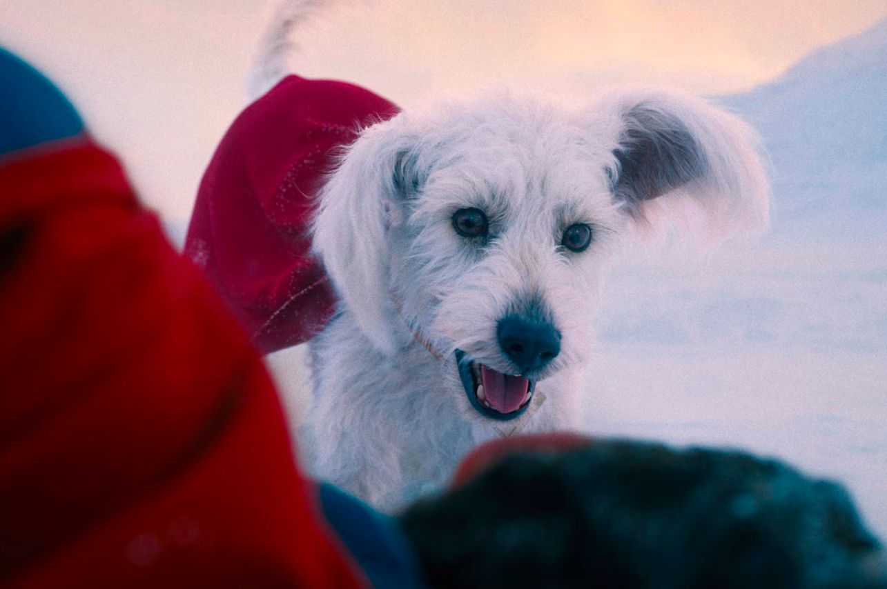 5 lý do bạn nên xem Superman (2025): Một bộ phim chữa lành giữa thời kỳ siêu anh hùng