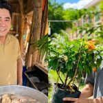 Cuộc sống "bỏ phố về quê" của tài tử nổi tiếng Huỳnh Anh Tuấn screen shot 2025 07 18 at 121224 1752829634231810047074 0 0 377 720 crop 17528296546321009774787jpg