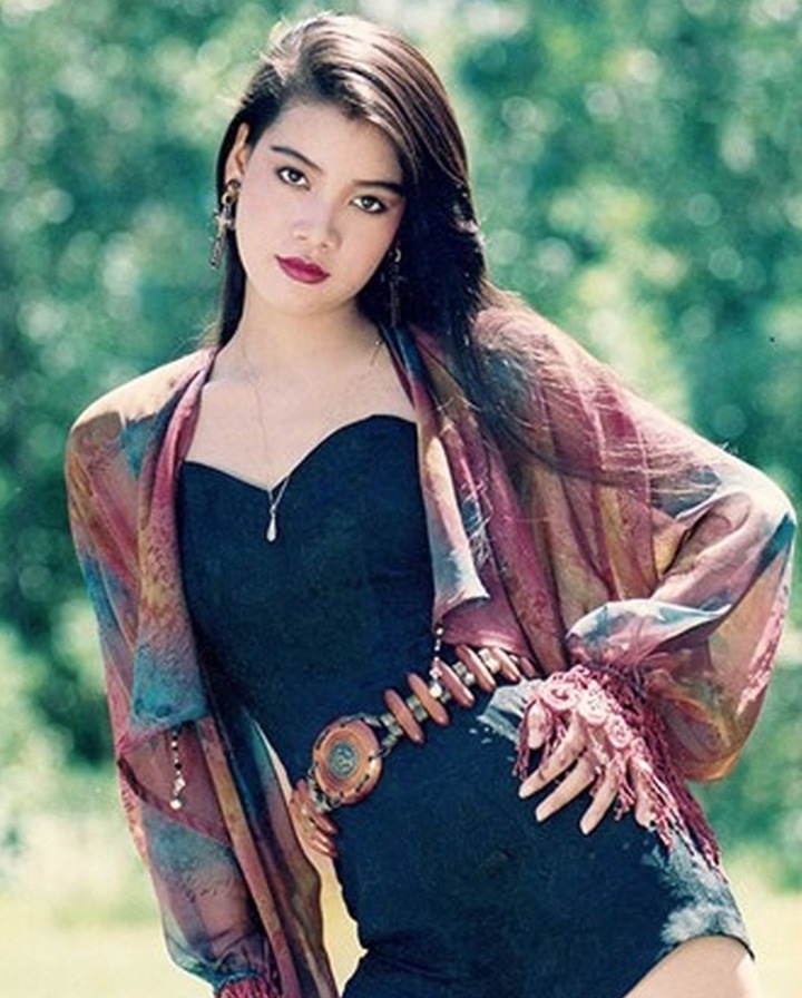 Sự nghiệp của diễn viên Trương Ngọc Ánh trước khi bị bắt- Ảnh 2.