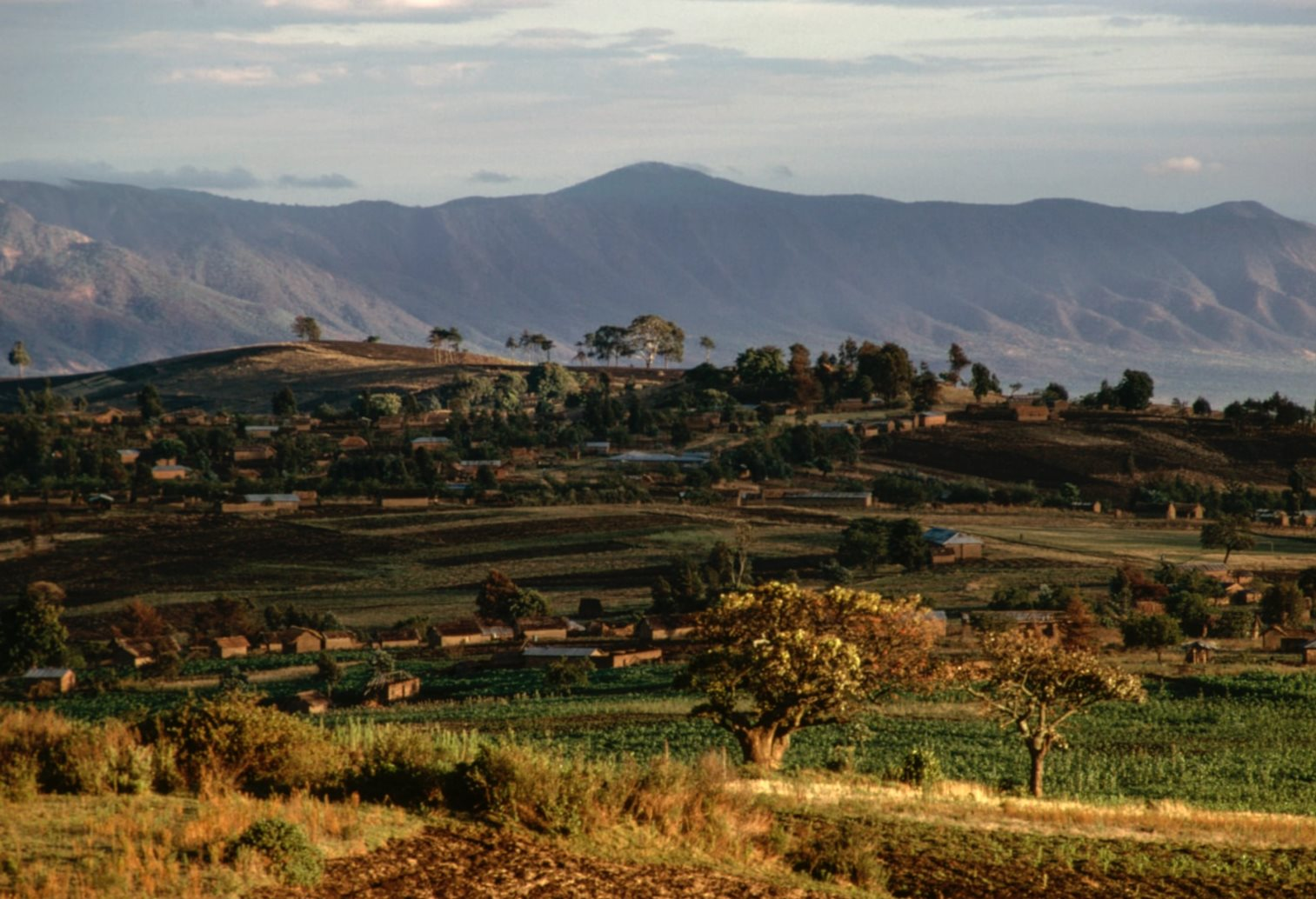 Phát hiện mỏ đất hiếm trữ lượng hơn 214 triệu tấn có giá trị lên đến hơn 900 tỷ USD: Úc tìm thấy nhưng lập tức