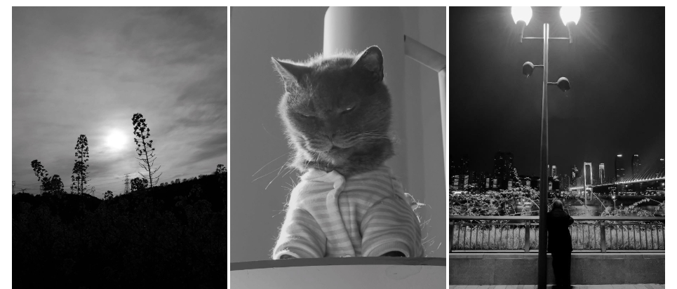 "Con trai Càn Long": Gã quý tử ngỗ ngược của showbiz bị "đuổi" khỏi quê hương, 42 tuổi vẫn sống nhờ tiền chu cấp của bố screenshot 2025 03 26 152537 152603 1743046918601 1743046918784265513350