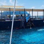 Người sống sót kể lại khoảnh khắc kinh hoàng và sai lầm chết người đến khó tin trên chiếc tàu ngầm chìm xuống Biển Đỏ screenshot 2025 03 28 100226 17431309515311638515767 27 0 753 1161 crop 17431309558401540042184png