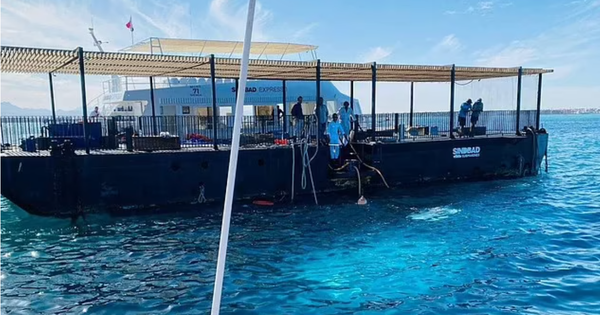 Người sống sót kể lại khoảnh khắc kinh hoàng và sai lầm chết người đến khó tin trên chiếc tàu ngầm chìm xuống Biển Đỏ screenshot 2025 03 28 100226 17431309515311638515767 27 0 753 1161 crop 17431309558401540042184png