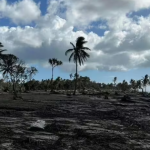 Tình hình hiện tại sau trận động đất 7,1 độ và cảnh báo sóng thần tại quốc gia châu Úc screenshot 2025 03 31 100238 17433901680661644336572 0 25 681 1115 crop 1743390170766229073323png