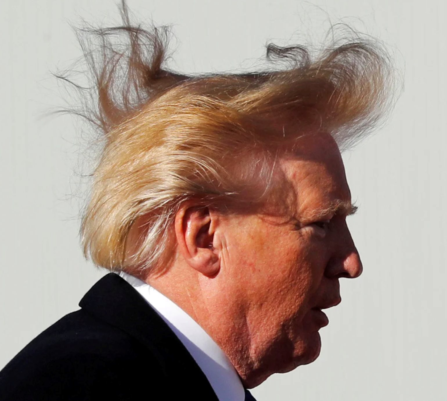 Tổng thống Donald Trump ký sắc lệnh bỏ hạn chế áp lực vòi hoa sen vì 'xả 15 phút tóc mới ướt'- Ảnh 2.