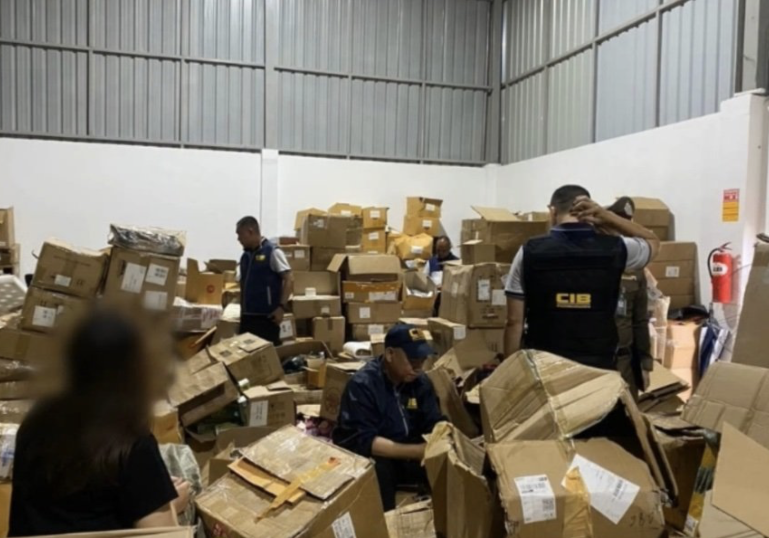 Đột kích kho hàng gần thành phố, công an triệt phá đường dây hàng giả với gần 80.000 món đồ gồm thực phẩm chức năng, thiết bị điện tử- Ảnh 1.