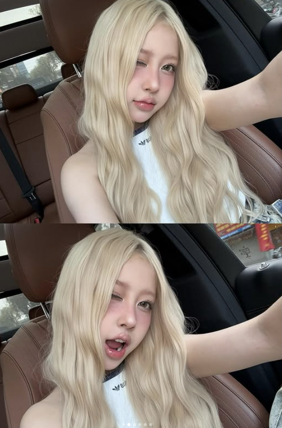 Nhan sắc được ví như