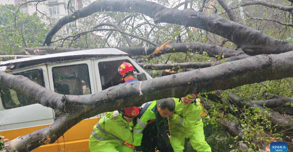 Bão Wipha (bão số 3) đổ bộ Quảng Đông, miền Nam Trung Quốc- Ảnh 2. Bão Wipha (bão số 3) đổ bộ Quảng Đông, miền Nam Trung Quốc- Ảnh 2.
