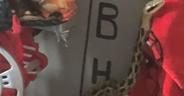 Bà mẹ hoảng loạn khi phát hiện ra thứ kinh hoàng trong phòng con 28 Bà mẹ hoảng loạn khi phát hiện ra thứ kinh hoàng trong phòng con screenshot 2025 08 01 124423 1754027069957755792124 11 0 639 1004 crop 17540271184951419638426png