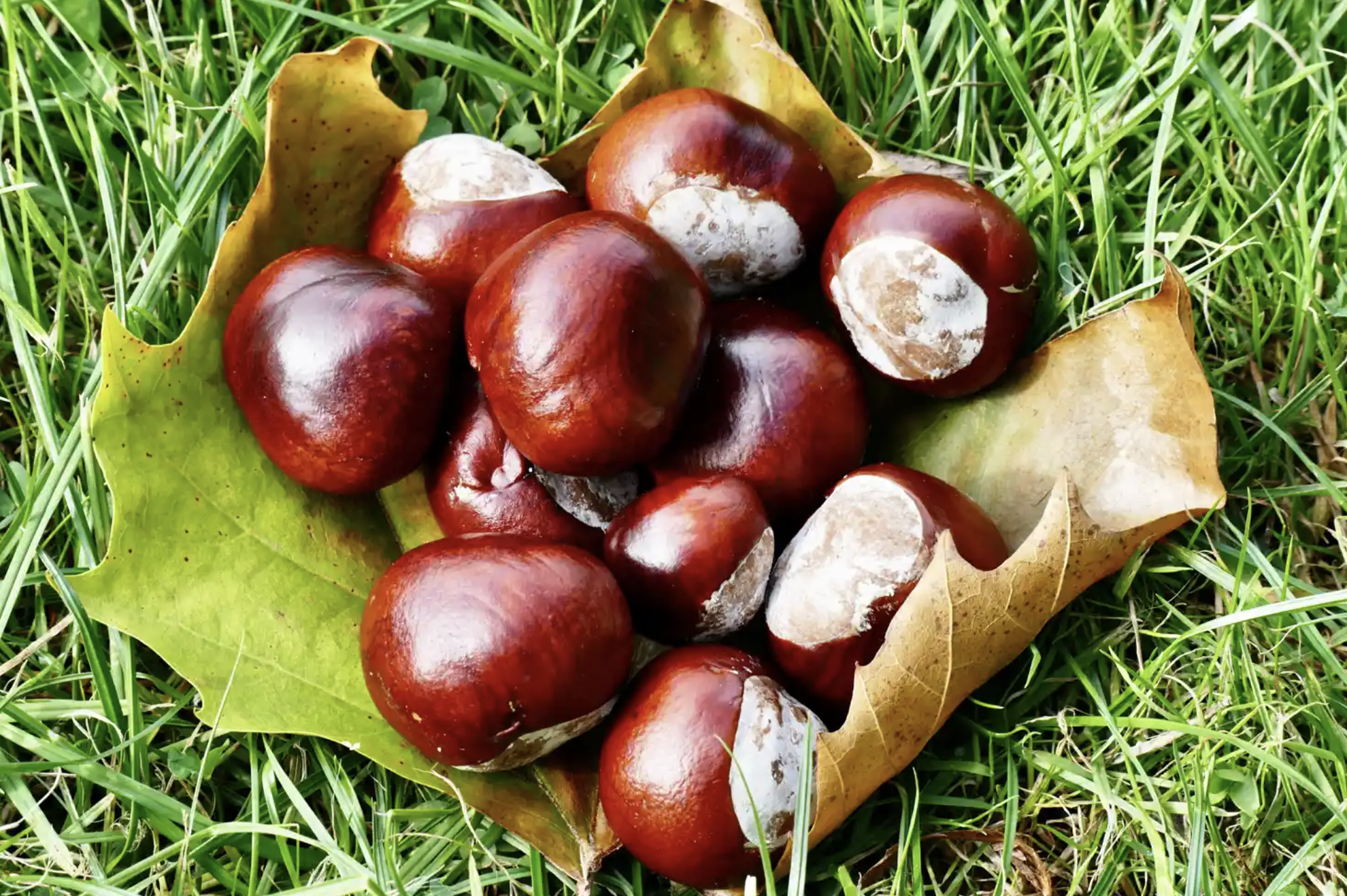 Hoàng gia Anh dở khóc dở cười vì thú vui kỳ lạ của Hoàng tử Louis- Ảnh 2. Hoàng gia Anh dở khóc dở cười vì thú vui kỳ lạ của Hoàng tử Louis- Ảnh 2.